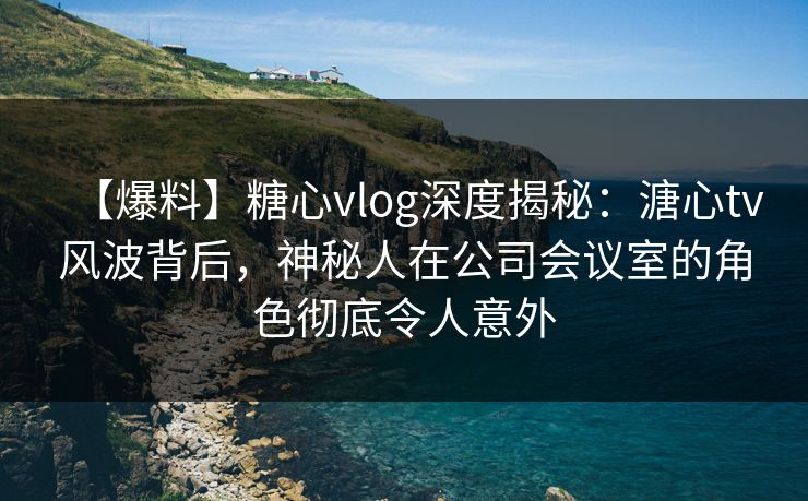 【爆料】糖心vlog深度揭秘：溏心tv风波背后，神秘人在公司会议室的角色彻底令人意外