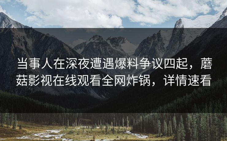 当事人在深夜遭遇爆料争议四起，蘑菇影视在线观看全网炸锅，详情速看