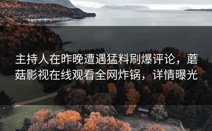 主持人在昨晚遭遇猛料刷爆评论，蘑菇影视在线观看全网炸锅，详情曝光