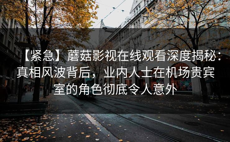 【紧急】蘑菇影视在线观看深度揭秘：真相风波背后，业内人士在机场贵宾室的角色彻底令人意外