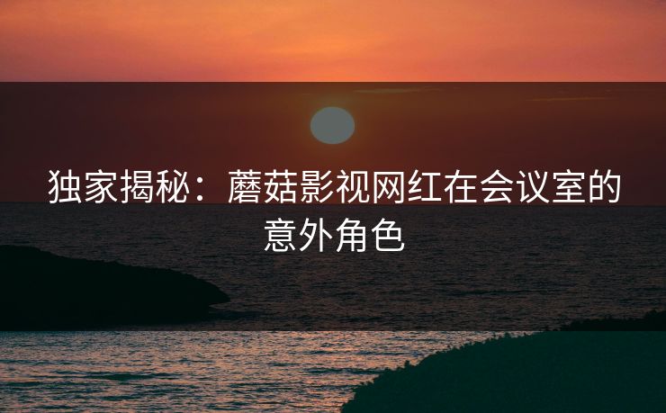 独家揭秘：蘑菇影视网红在会议室的意外角色