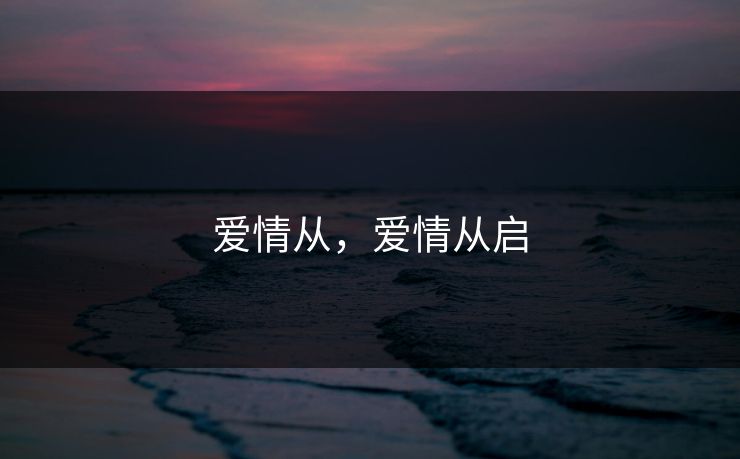 爱情从，爱情从启